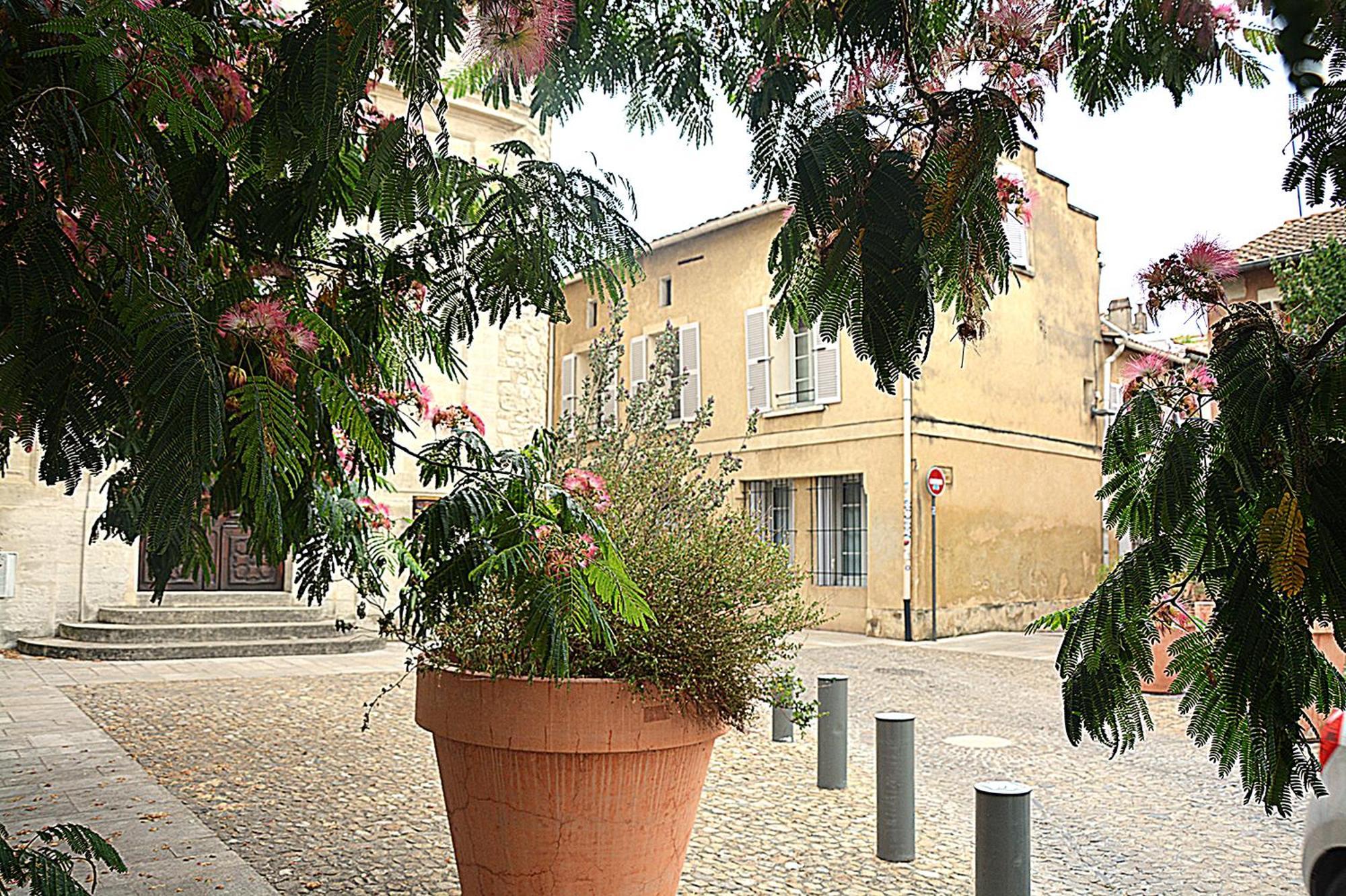 Maison Rascas - Centre Historique - Air Conditioning- Wifi 亞維農 外观 照片